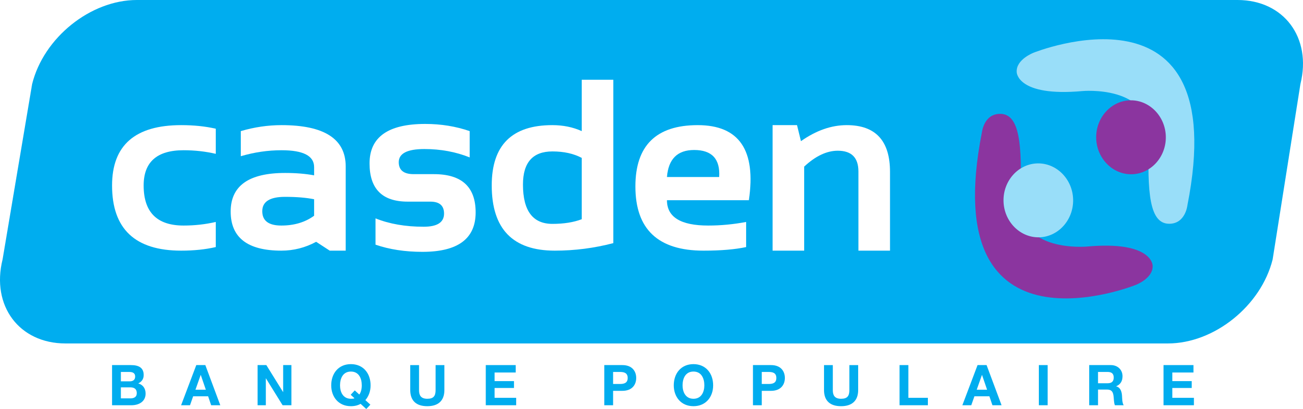 2560px-Logo_Casden_2010.svg